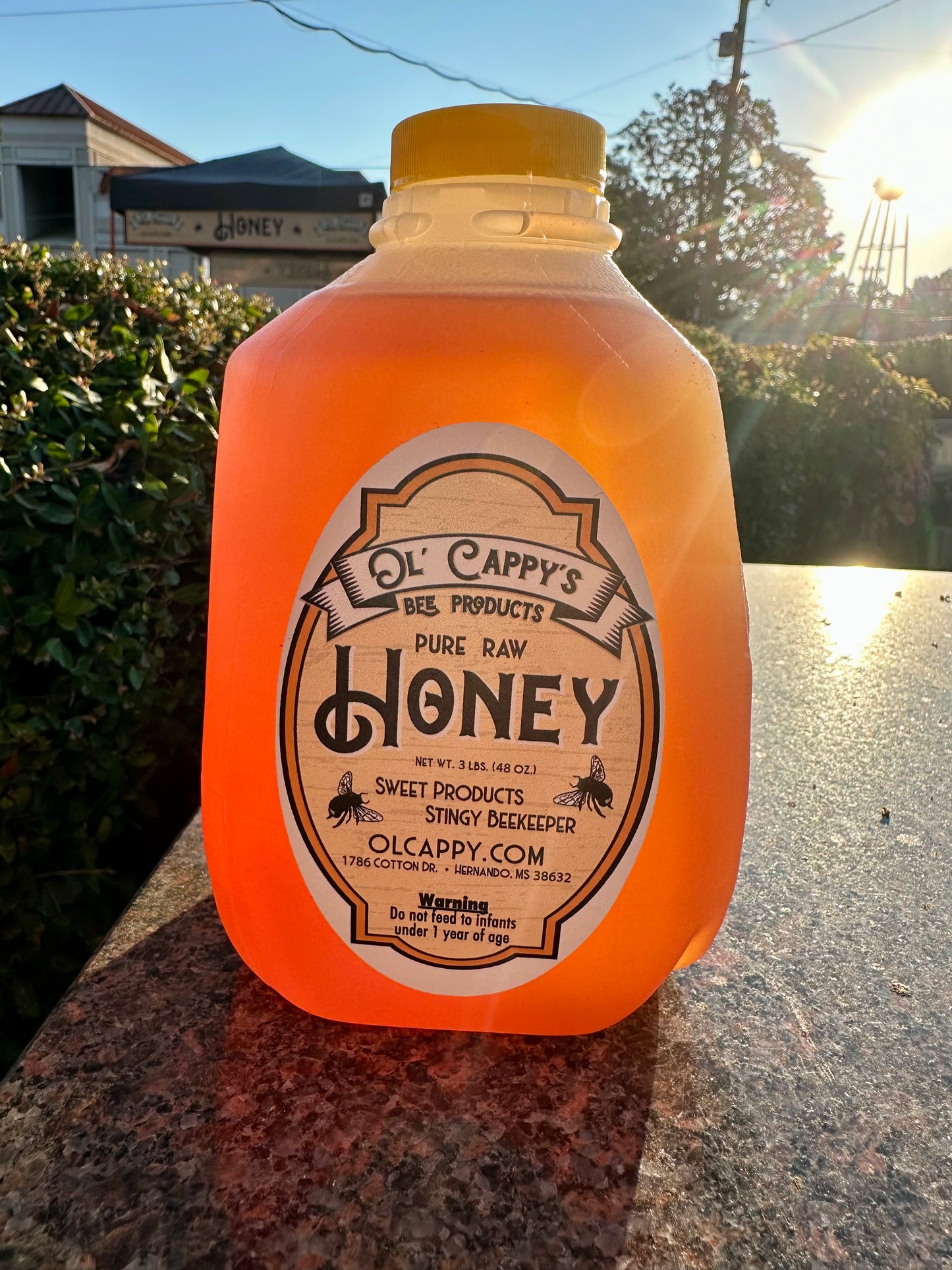 3 lbs. Honey - Summer