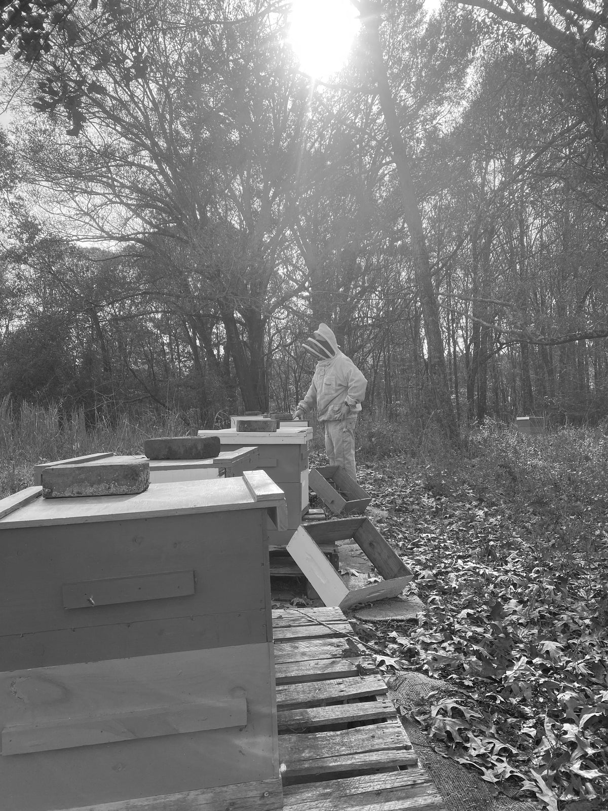 About – Ol' Cappy's Bee Products