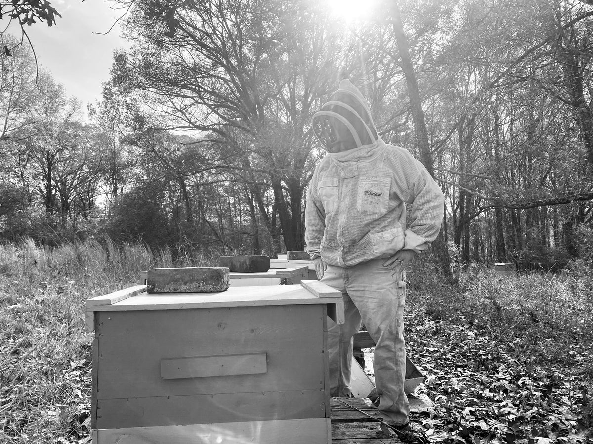 Local Raw Honey from Mississippi & Memphis | Ol’ Cappy’s Bee Products ...