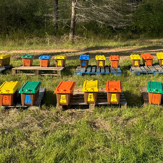 5 Frame Nuc DEPOSIT - 2026